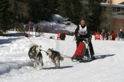 San Bernardino 2008
